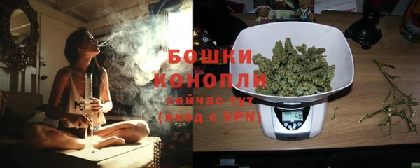 шишки Аркадак