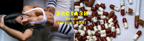 хмурый Алексин