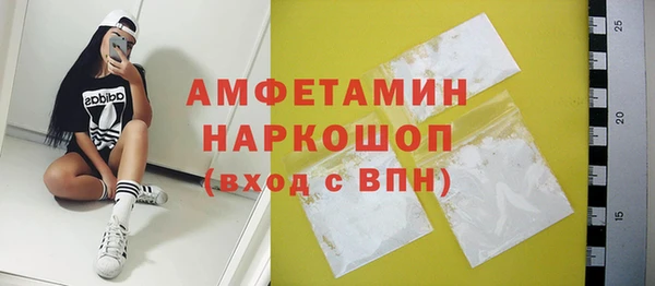 хмурый Алексин