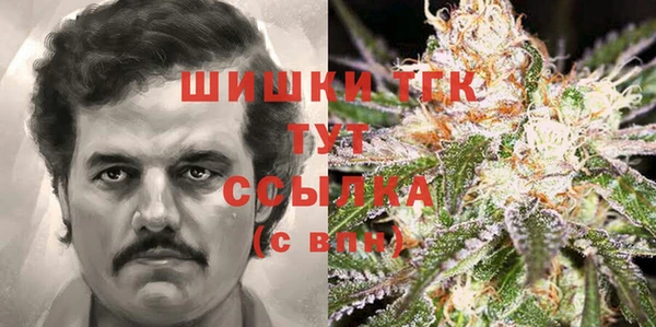 экстази Арсеньев