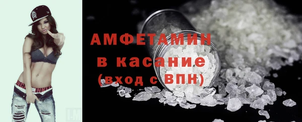 шишки Аркадак