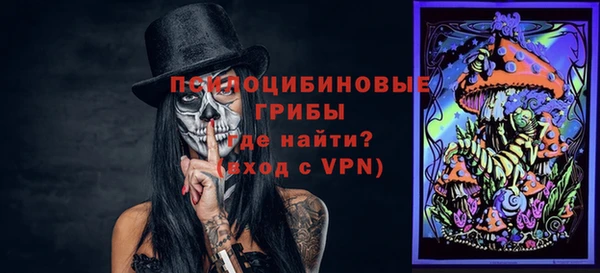 хмурый Алексин